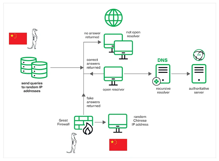 Hijacks DNS